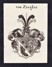 Ziegler wappen coat gebraucht kaufen  Seubersdorf