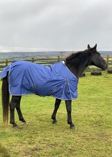Lightweight turnout rugs for sale  HALIFAX