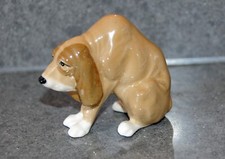 Szeiler small bloodhound for sale  AYLESBURY