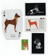 Basenji collection dog for sale  COLEFORD
