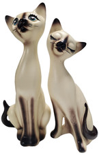 Norcrest siamese cats for sale  Pine City