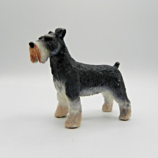 Safari schnauzer dog for sale  Dundalk