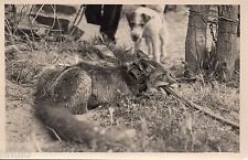 Bl816 carte photo d'occasion  Montrouge