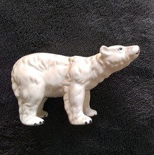 Polar bear beautiful for sale  DISS