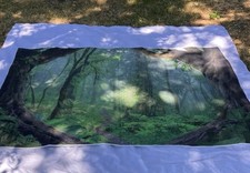 7x5ft forest backdrop for sale  Post Falls
