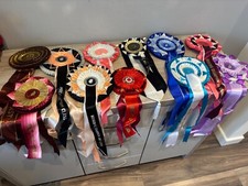 Vintage cat rosettes for sale  GODALMING