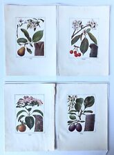 Vintage 1920 colour for sale  CANTERBURY