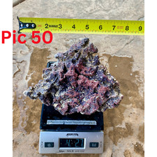 Rare live rocks for sale  El Cajon