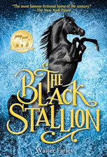 Black stallion walter for sale  UK