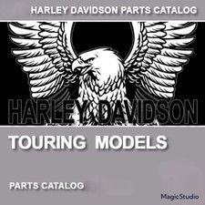 Harley davidson touring for sale  Caruthers