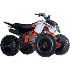 Quad atv storm usato Quad atv storm usato  Fiumicino