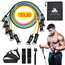 Evoland fitnessband resistance gebraucht kaufen  Schenefeld