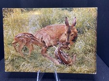Postcard newly born for sale  Batavia