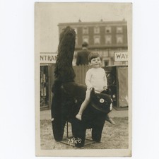 Vintage photo postcard for sale  CHELTENHAM