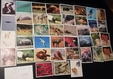 Seltene wwf sammelsticker gebraucht kaufen  Frankfurt am Main