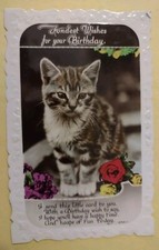 Vintage cat greetings for sale  POTTERS BAR