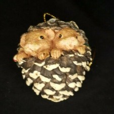 Cute woodland squirrels for sale  Mankato