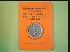 Piante madri viti usato  Comiso