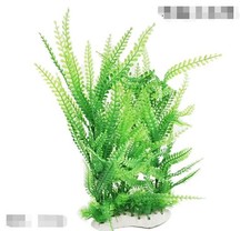 Plantes aquarium plantes d'occasion  France