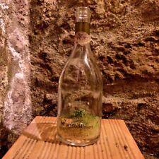 Bottiglia vuota franciacorta usato  Santa Luce