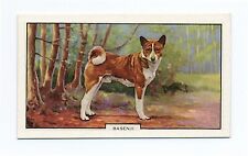 Basenji gallaher 1938 for sale  COLEFORD