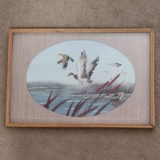 Vintage ducks wall for sale  Joshua Tree