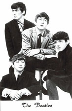 The beatles riginal gebraucht kaufen  Leipzig