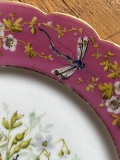 19th cabinet plates for sale  LONDON