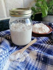 Sourdough starter types for sale  LONDON