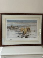 David shepherd lone for sale  HEMEL HEMPSTEAD