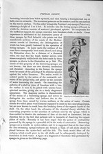 Old antique print for sale  UK