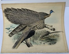 Original 1872 daniel for sale  Colorado Springs