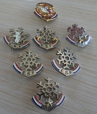 Lot pins badge d'occasion  Expédié en Belgium
