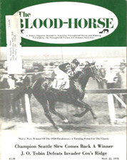1978 blood horse for sale  Pompano Beach