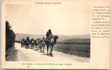 Liban caravane chameaux d'occasion  France