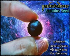 Sapindus Seed, Taliman Protection Suppress Evil Dispel Bad Things. comprar usado  Enviando para Brazil