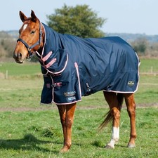 Gallop trojan ponie for sale  CHATTERIS