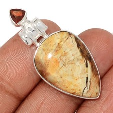 Natural petrified wood d'occasion  Expédié en Belgium