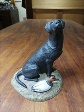 Vintage black lab for sale  MAIDSTONE