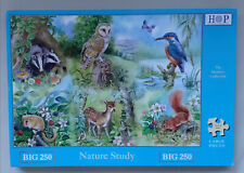 Hop house puzzles for sale  READING