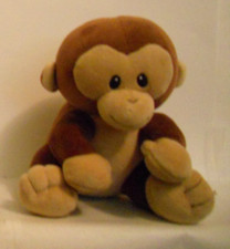 Baby banana monkey for sale  Boise