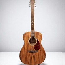 Acoustic guitar cat d'occasion  Expédié en Belgium