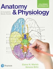 Anatomy physiology coloring for sale  North Smithfield