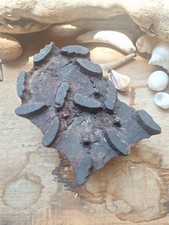 Indian wooden print for sale  SIDMOUTH