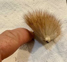 Fly rod mole for sale  Sarasota