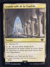 Carte magic authentique d'occasion  Staffelfelden