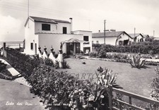 Lido dei pini usato  Roma