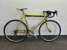 Bici corsa pinarello usato  Vimodrone