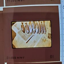 Photo slide florida for sale  Vermilion