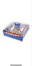 Borotto lumia egg for sale Borotto lumia egg for sale  WHITBY